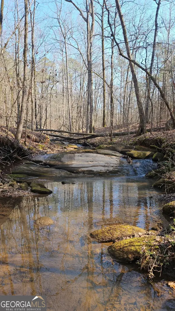 0 Old Zebulon Road, Zebulon, GA 30295