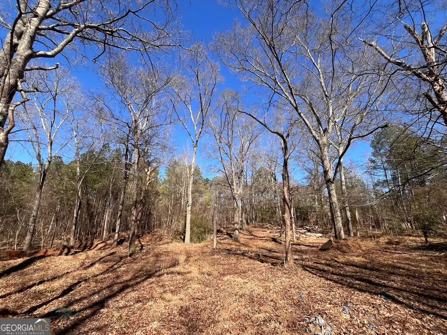 55 Key Road, Ellenwood, GA 30294 - #3