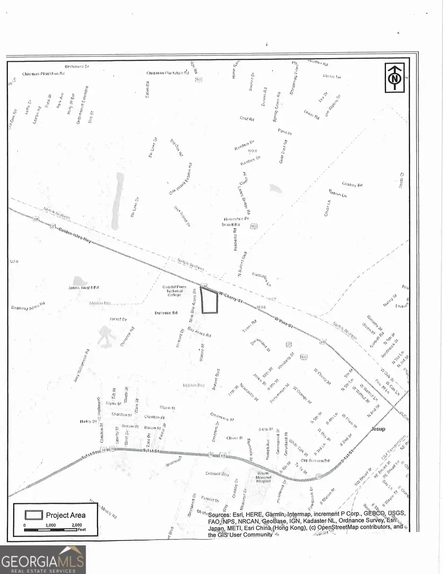 0 S Ga Hwy 341, Jesup, GA 31545 - #3