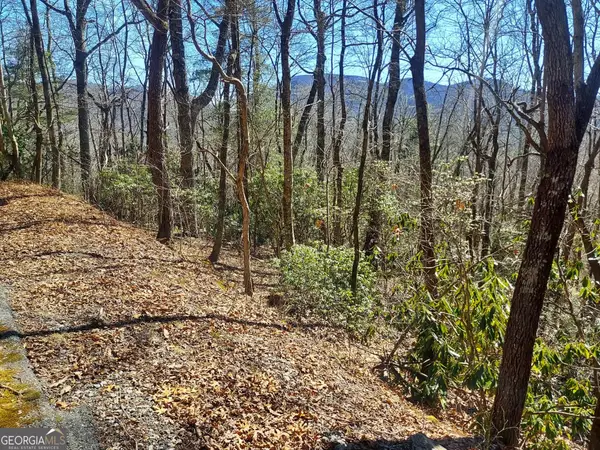 0 LOT 41 Pipetrack Gap Road, Scaly Mtn, NC 28775