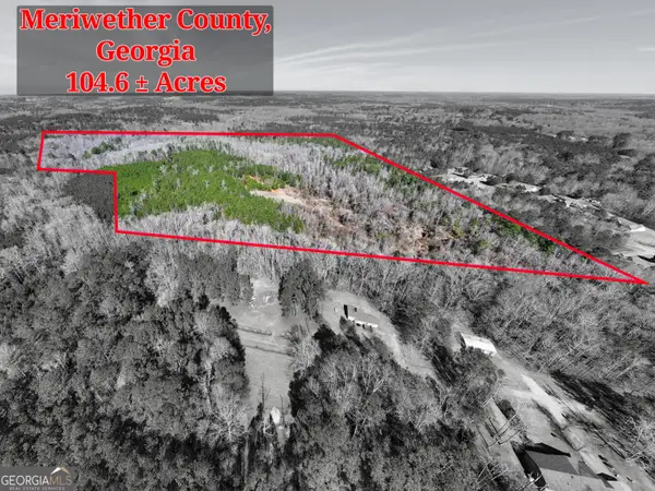 77 ACRES Roosevelt Highway, Warm Springs, GA 31830