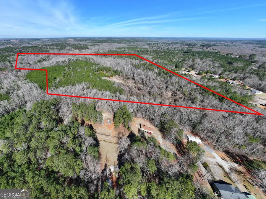77 ACRES Roosevelt Highway, Warm Springs, GA 31830 - #2