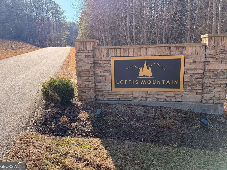 105 Loftis Mountain Road #1, Blairsville, GA 30512 - #2