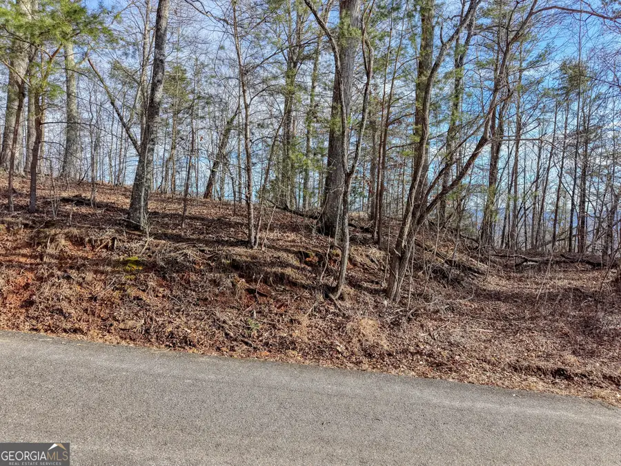 LOT 5 Harris Ridge, Young Harris, GA 30582 - #2