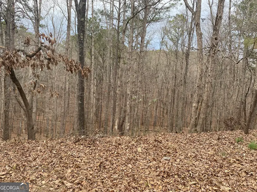 0 Warwick Way, Rome, GA 30161 - #2