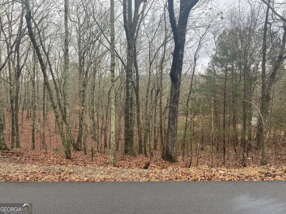 0 John Ingram Road, Silver Creek, GA 30173 - #1