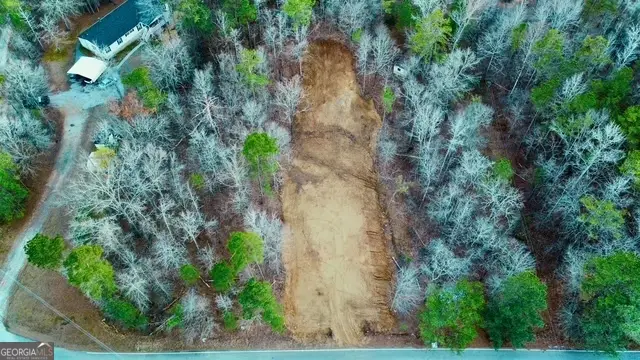 384 Bluegill Road, Eatonton, GA 31024 - #2