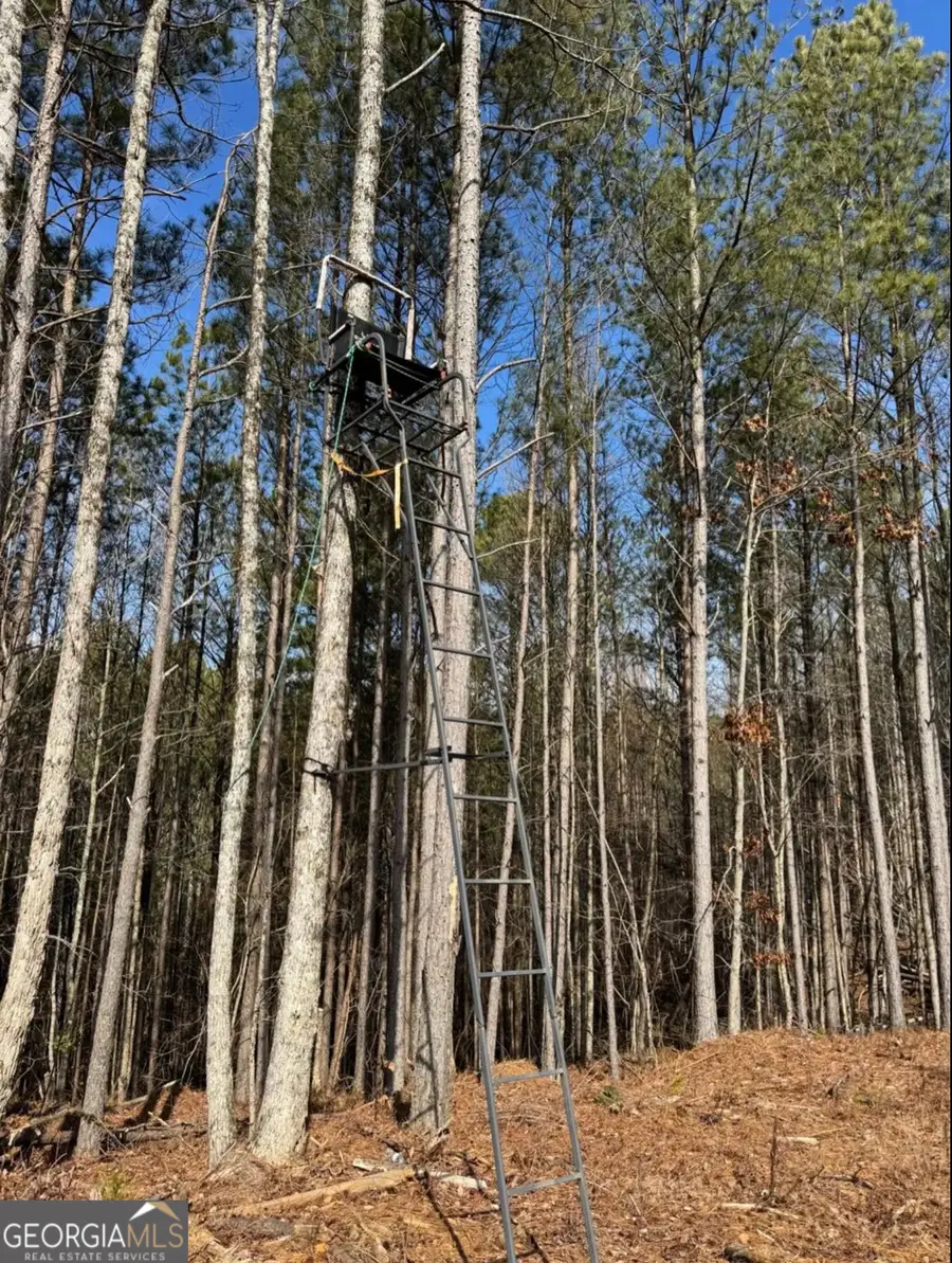 13308 W Highway 136, Talking Rock, GA 30175 - #3