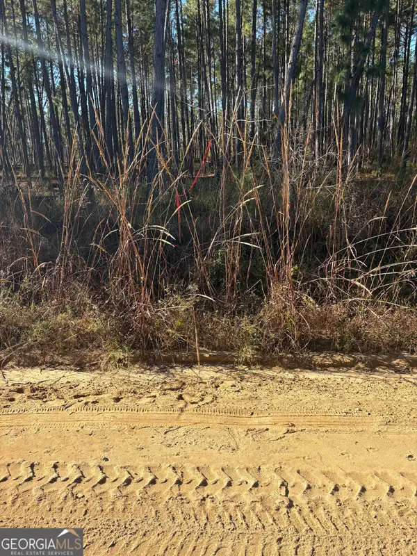 2457 Guy Weatherly Road, Cadwell, GA 31009