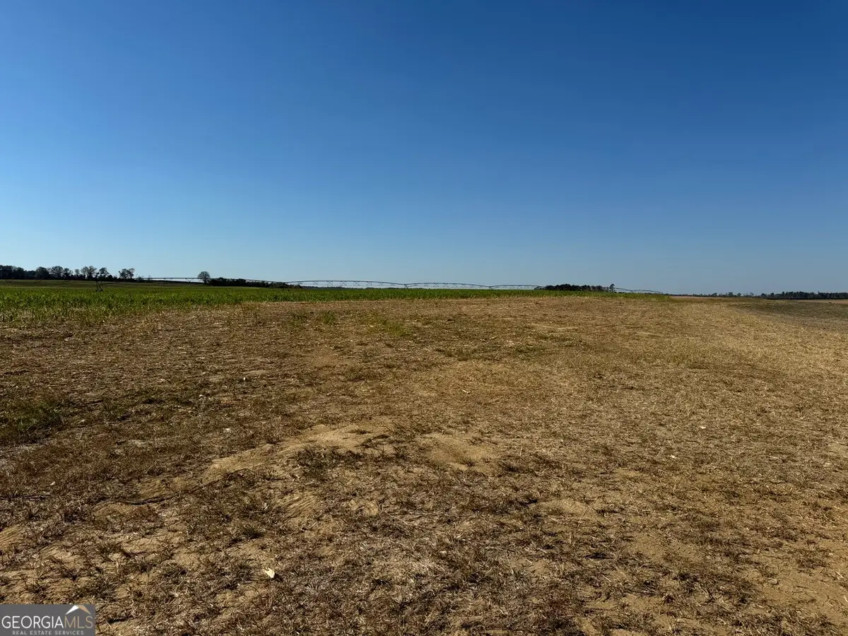 0 Pinetucky Road, Wadley, GA 30477 - #1