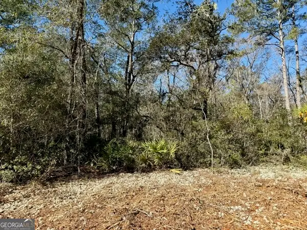 0 Live Oak Lane Road, Nevils, GA 31321