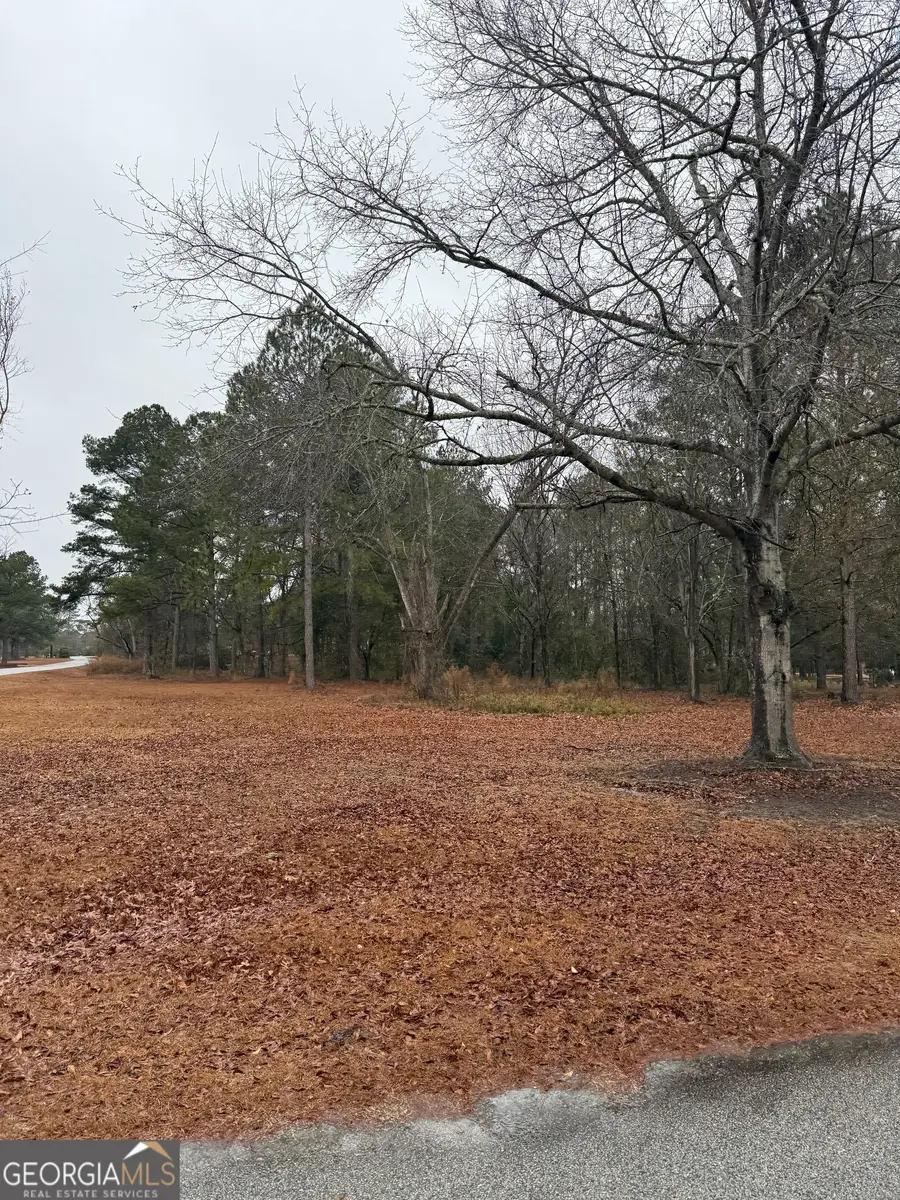 LOT 10 Laurel Oak Drive, Statesboro, GA 30461 - #2