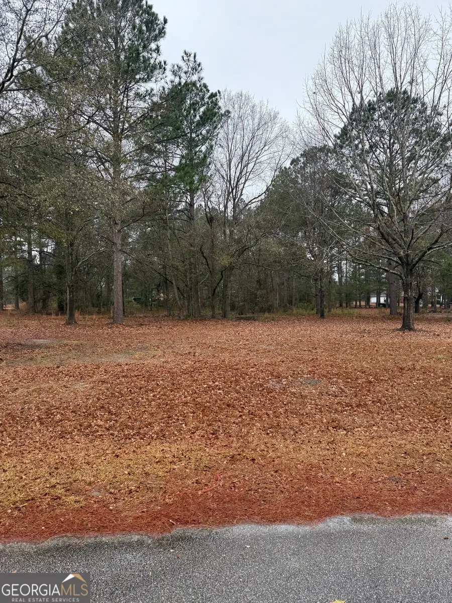 LOT 10 Laurel Oak Drive, Statesboro, GA 30461 - #3