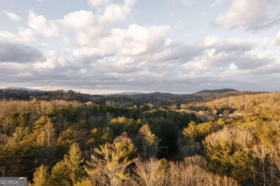 31 Highland Hammock Drive, Blue Ridge, GA 30513 - #3