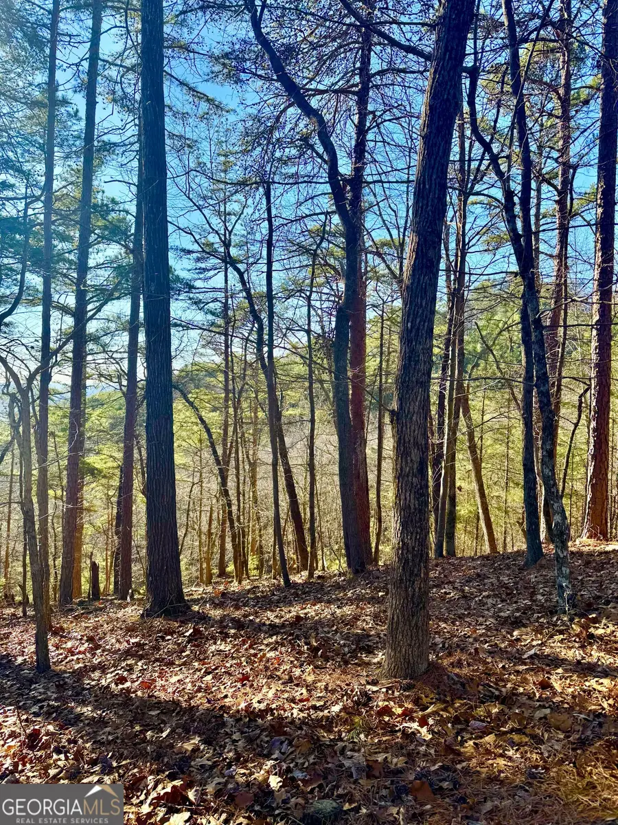 334 Packet Court, Ranger, GA 30734 - #2