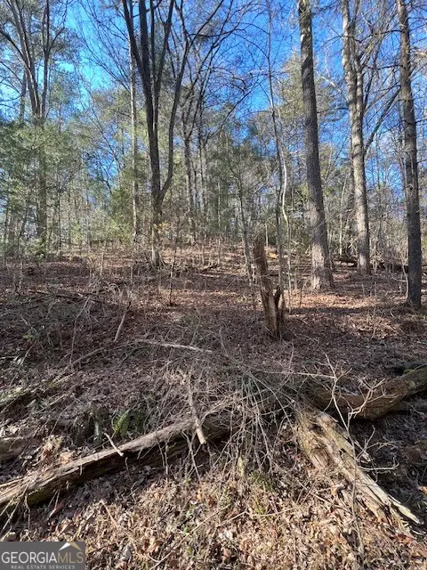 0 Old Miller Rock #LOT 75, Ellijay, GA 30540 - #3