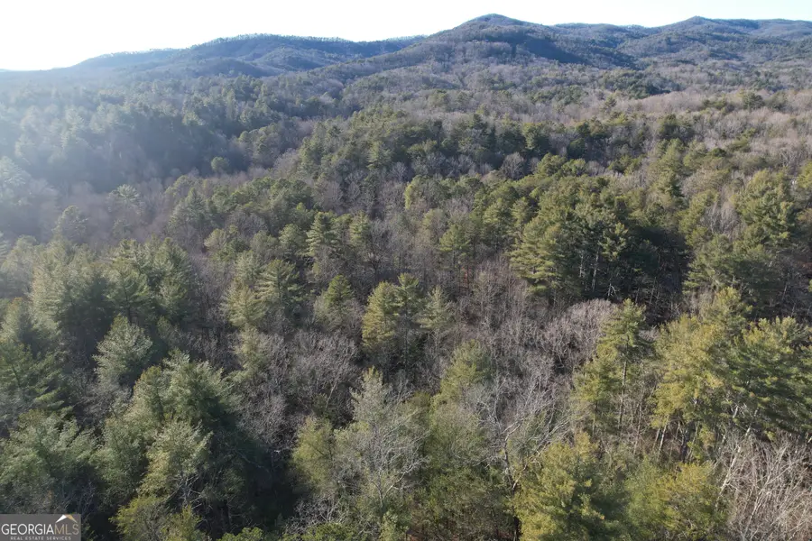 01 Old Miller Rock, Ellijay, GA 30540 - #2