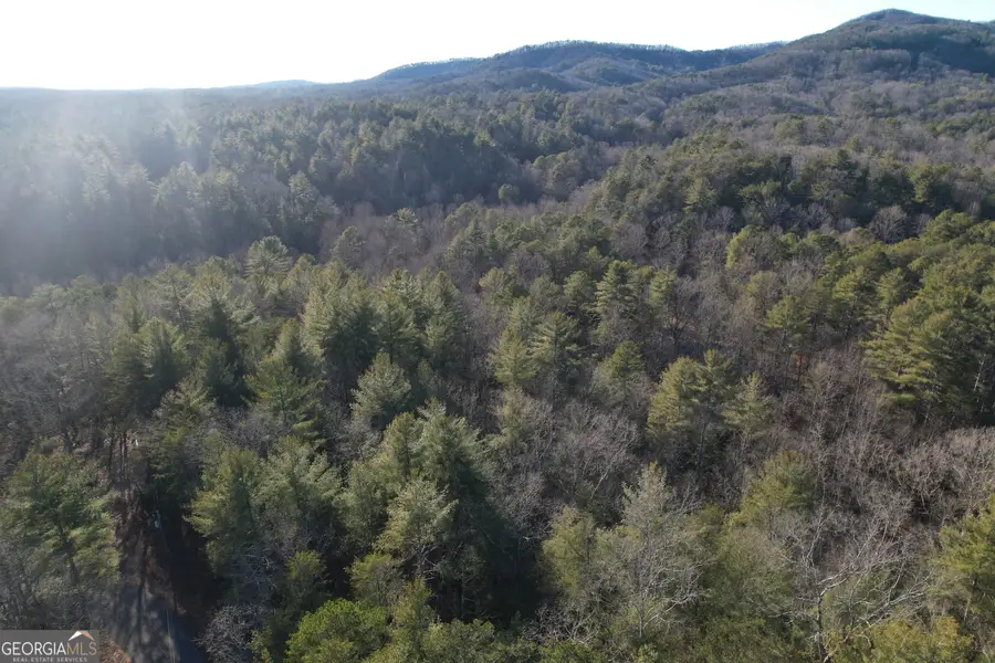 01 Old Miller Rock, Ellijay, GA 30540 - #3