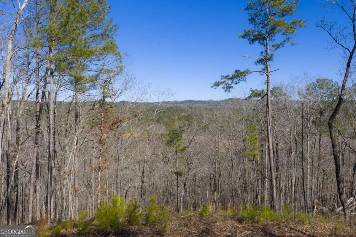 LOT 285 Anglers Ridge Road, Talking Rock, GA 30175 - #1