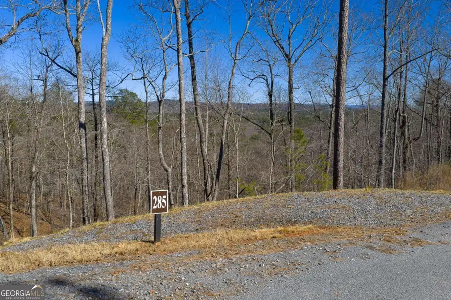 LOT 285 Anglers Ridge Road, Talking Rock, GA 30175 - #3
