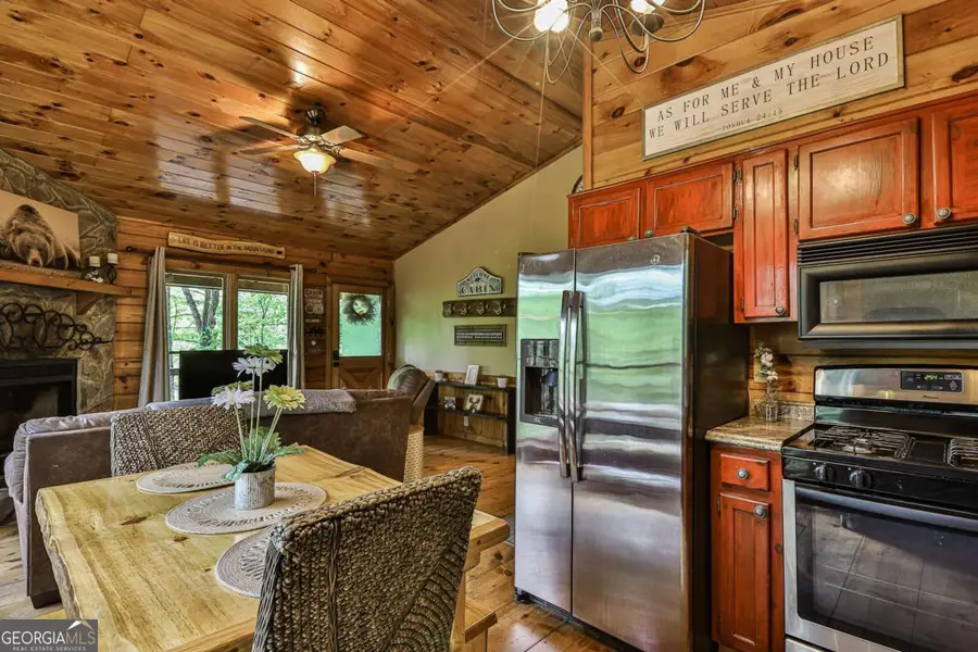 137 Little Beaver Drive, Cherry Log, GA 30522 - #3