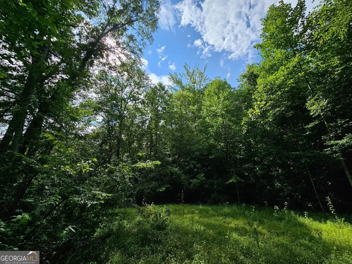 0 Hutcheson Road, Temple, GA 30179 - #1