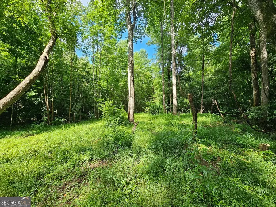 0 Hutcheson Road, Temple, GA 30179 - #3