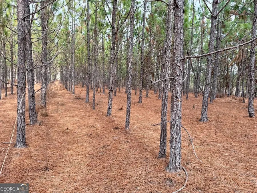 0 Outlaw Grove Way, Soperton, GA 30457 - #3