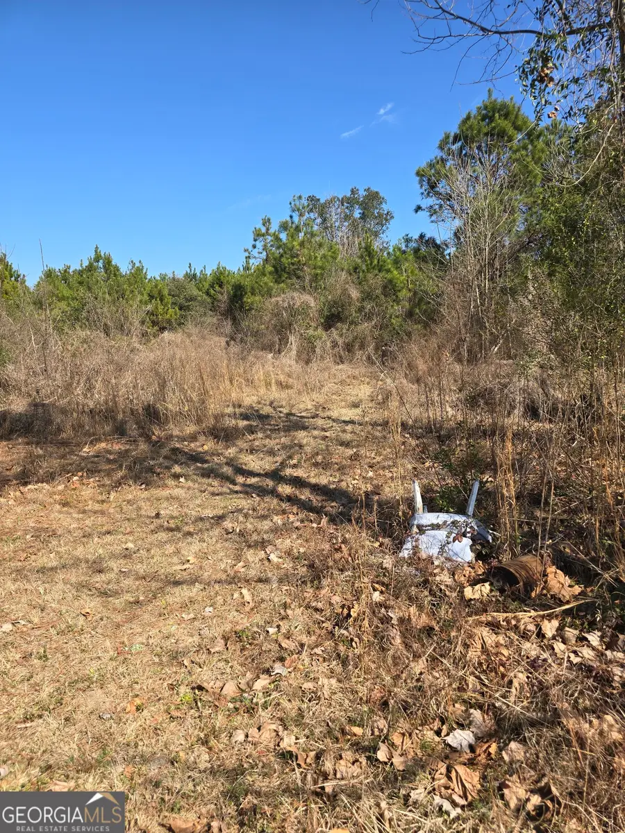 597 Fordham Road, Brooklet, GA 30415 - #2