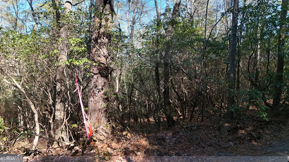 LOT 2 Crumley Creek Road, Sautee Nacoochee, GA 30571 - #1