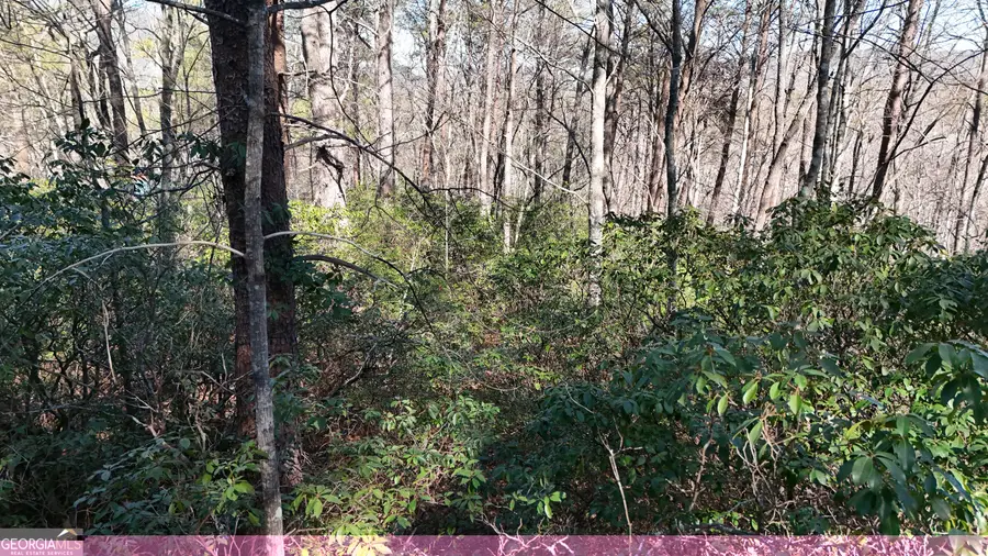 LOT 2 Crumley Creek Road, Sautee Nacoochee, GA 30571 - #3