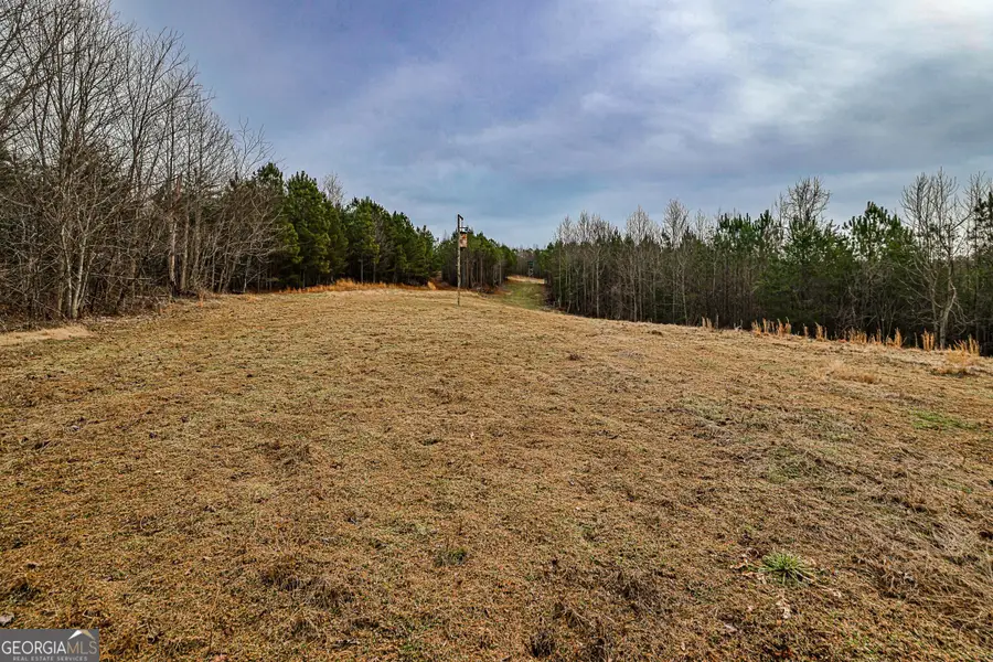 0 Trout Farm Road, Talking Rock, GA 30175 - #3