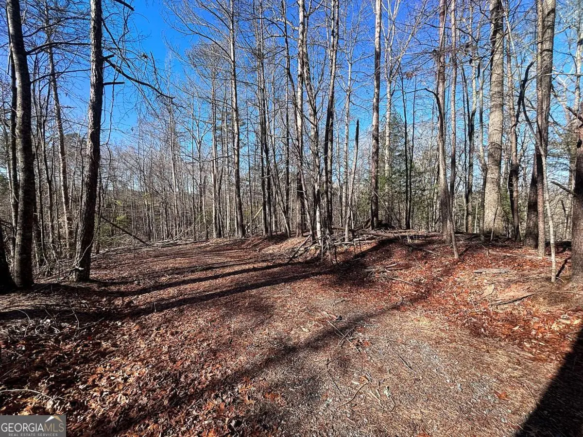 0 Miramar Drive, Ellijay, GA 30540 - #1