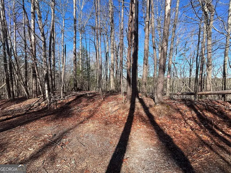 0 Miramar Drive, Ellijay, GA 30540 - #2