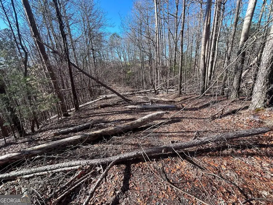 0 Miramar Drive, Ellijay, GA 30540 - #3