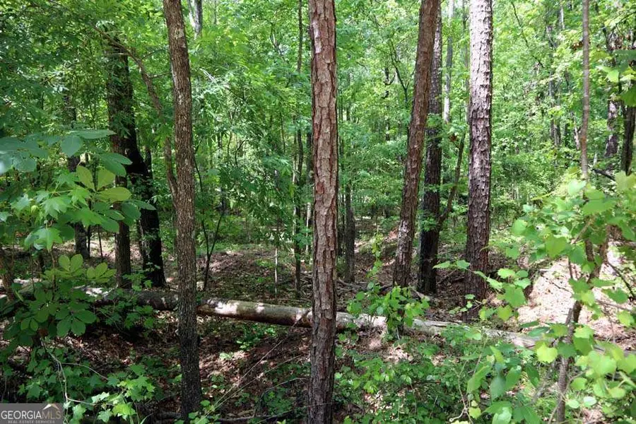 77 Cherokee Road Sw, Milledgeville, GA 31061 - #3