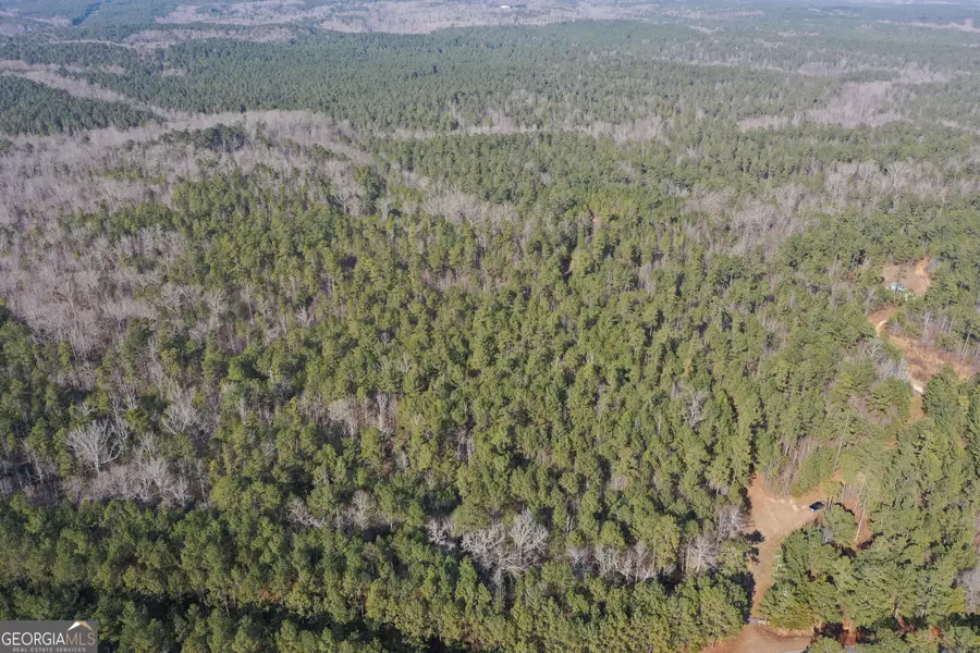 0 John Rucker Road, Elberton, GA 30635 - #3