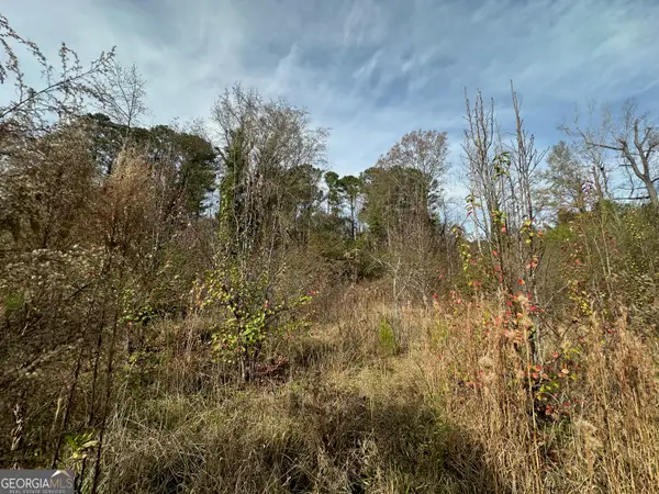 567 George W Towns Road, Talbotton, GA 31827