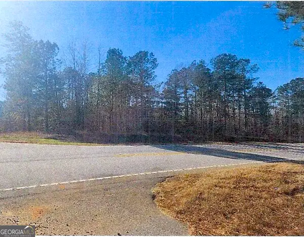(EASTERN 1/2 OF Thomson Hwy, Warrenton, GA 30828