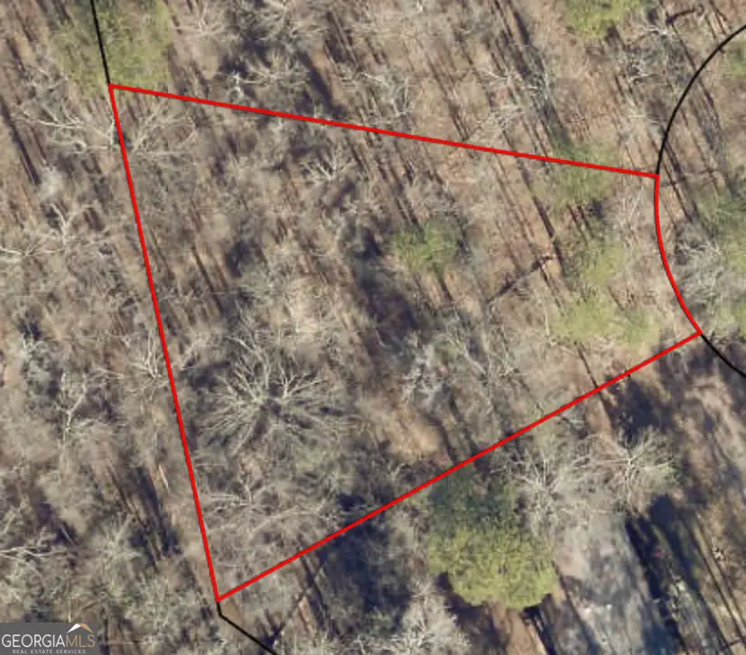 0 Brant Court, Monticello, GA 31064 - #1