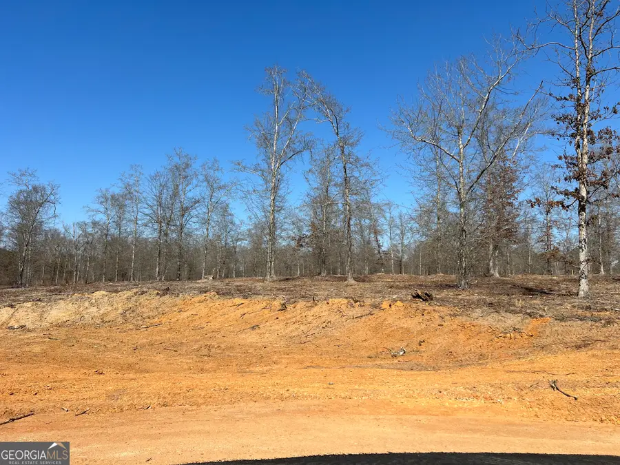 0 Holly Ridge Lot 5, Dublin, GA 31021 - #2