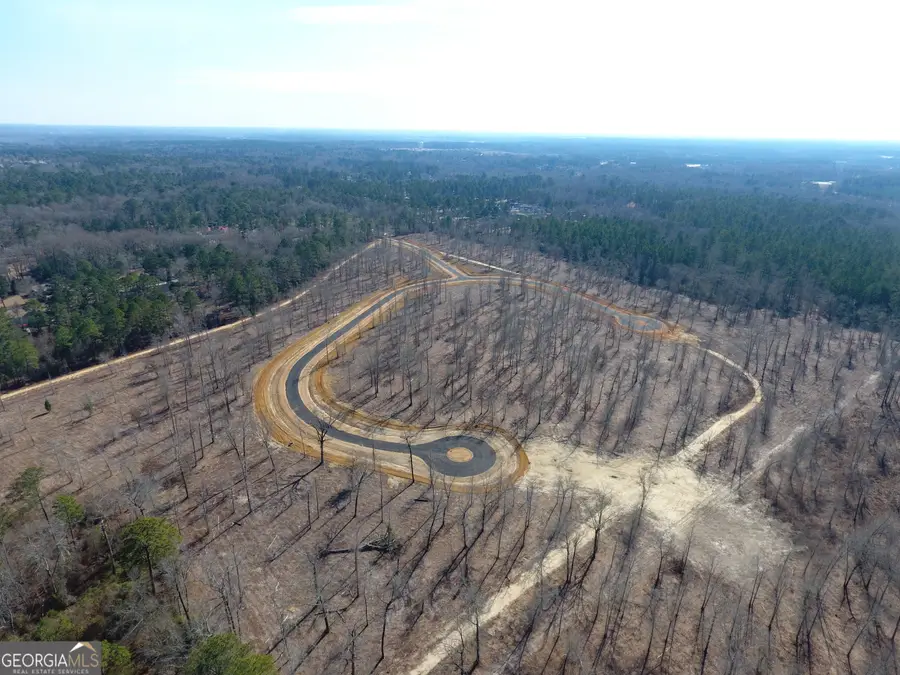 0 Holly Ridge Lot 5, Dublin, GA 31021 - #3