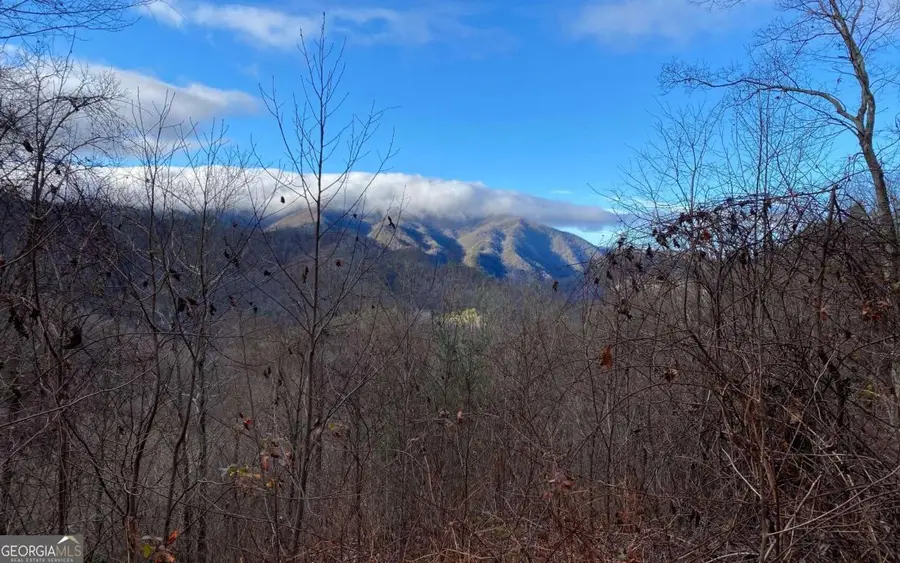 LOT M2 Georgianna Lane, Bryson City, NC 28713 - #3