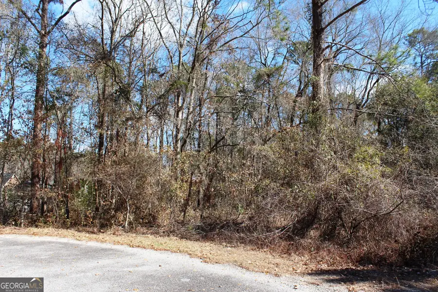 0 Morning Dove Court, Statesboro, GA 30461 - #2