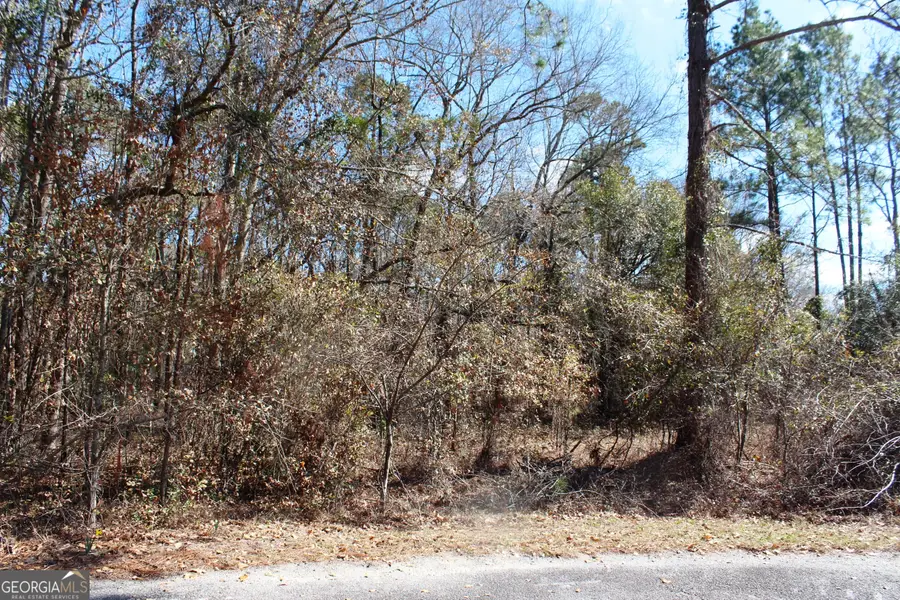 0 Morning Dove Court, Statesboro, GA 30461 - #3
