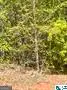 LOT 31 13TH COU 13th Court, Lanett, AL 36863 - #2