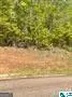 LOT 17 13TH COU 13th Court, Lanett, AL 36863