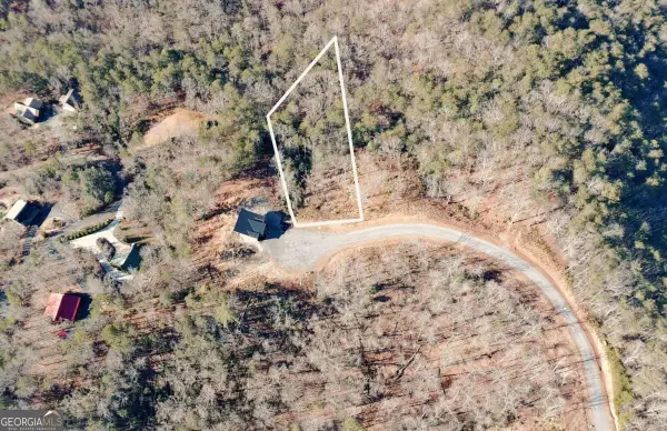 LOT 53 Mountain Laurel Ridge, Mineral Bluff, GA 30559