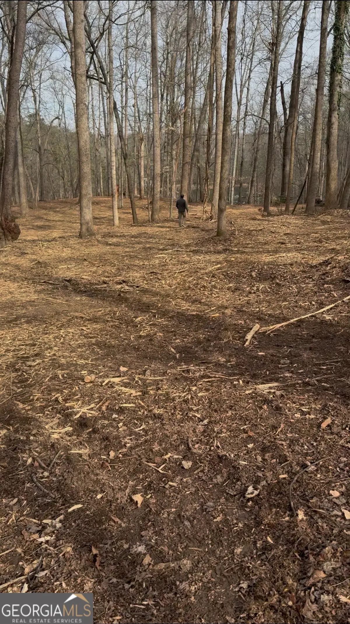 0000 Bailey Mill Road, Gainesville, GA 30506 - #1