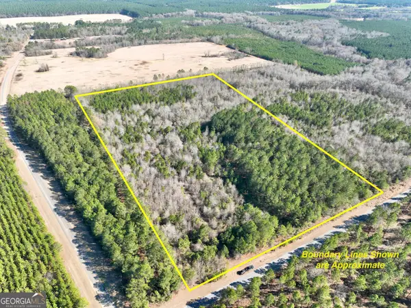 NORTH TRACT 0 Shady Grove Road, Abbeville, GA 31001